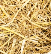 Słoma 4 kg wyściółka do budy dla psa, do gryzoni, do kur. PLUS GRATIS 