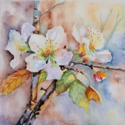 "Kwiaty jabłoni"