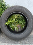 Opony Nexen z 2022r. letnie 2szt 205 65 r16c