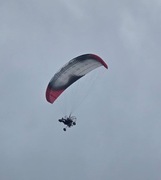 Dudek syntesis 29 LT