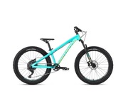 DARTMOOR HORNET JUNIOR 24''