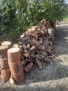 Sprzedam drzewo sosnowe 8 m6.