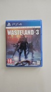 Wasteland 3 PS4 PL