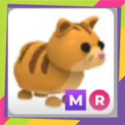 Mega Neon Ride Ginger Cat MR | Adopt Me | Roblox