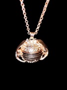 Składany medalion na 4 zdjęcia na łańcuszku.