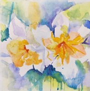 Akwarela 21x21 - "Żonkile"