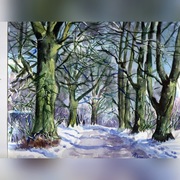 Zimowe Lipy na  Owczarni -  akwarela  