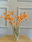 Dmuszek jajowaty lagurus 50 szt. Suszki na tort