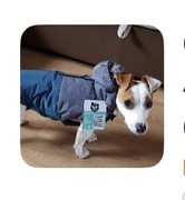 Gwiazdka Prezent Ciepłe Ubranko dla Psa Activ Pet