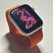 Apple Watch SE1 (1st gen) 44mm Silver + GPS SE 1