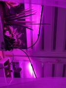 Panel led GROW do uprawy roślin Gardlov 20 W