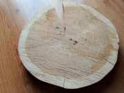 Dąb plaster drewniany bez kory śr. 42 cm grubość 4-5 cm