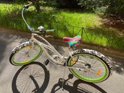 Electra Dream Ride Series