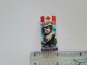 Magnes na lodówkę - 243g. JASPER Kanada MISIO 