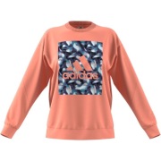 Bluza damska Adidas Youforyou Sweatshirt HA2431 r.XL