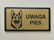 Złota tabliczka uwaga zły pies duży wybór owczarek niemiecki