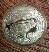 Moneta srebrna 20 zł Ropucha Paskówka (1998)
