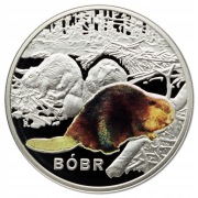 Bóbr 14,14 g 925 Numizmat srebro Symbole Przyrody Wawa Bober srebrny