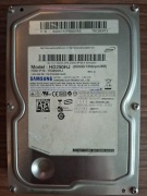 Dysk twardy Samsung HD250HJ SATA 3.5 cala