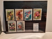 Kwiaty różne nr.255-257 = 3 zdjęcia