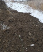 Oddam ziemie + darmowy transport SOSNOWIEC i okoli