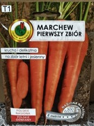 Marchew Pierwszy Zbiór na taśmie 