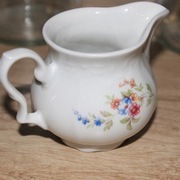 Mlecznik dzbanuszek na mleko śmietankę