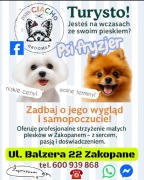 Psi fryzjer Zakopane i okolice. Także dojazd