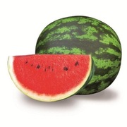 Arbuz Oneida F1  nasiona Holenderskie 10szt 