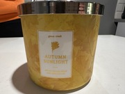 goose creek autumn sunlight