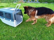 TRANSPORTER DLA PSA (Trixie Gulliver roz.6)