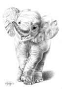 Rysunek ołówkiem -Mały słonik- Ksero A4