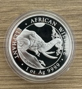 SŁOŃ SOMALIA 2023 || 1 uncja SREBRO