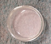 Szklana szalka Petriego średnica ok. 5,4 cm