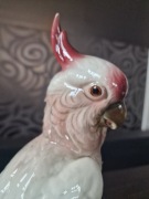 Papuga kakadu figurka z porcelany Royal Belvedere