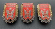 Komplet odznak Wzorowy Kierowca 1, 2 i 3 wz. 58 LWP