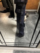 Spodnie monterskie Tranemo roz 33