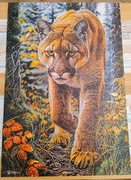 Puzzle ułożone 1500el 47x68cm puma RADOM
