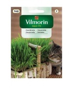 TRAWA DLA KOTÓW 25g VILMORIN