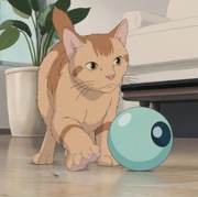 Inteligentna cyfrowa kulka - interaktywna zabawka piłka dla kota Smart Ball
