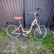 Rower damka Teamrider  Performance koła 26"