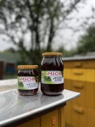 Miód Nektarowo -Spadziowy 