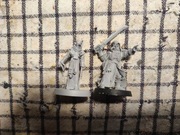 Warhammer 40k inquisitor Solomon lok and retinue Recast