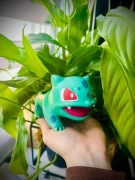 Bulbasaur Doniczka