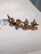 Warhammer 40k - Adeptus Custodes - Custodian Guards