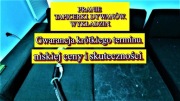 Pranie tapicerki, DYWANÓW, WYKŁADZIN. 