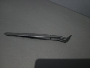 Peseta terrarystyczna 15cm
