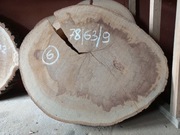 Plaster Drewna BUK 78/63/9 cm Blat Stolik Żywica DIY Wysuszony