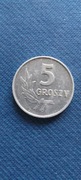 Moneta 5 groszy 1963 Al 
