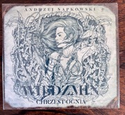 Andrzej Sapkowski Wiedźmin. Chrzest ognia CD MP3